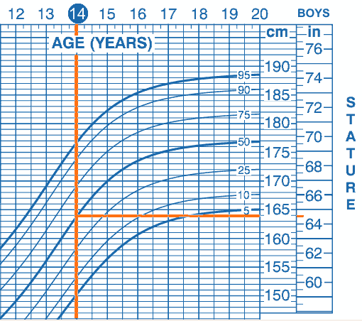 4 Year Old Boy Growth Chart