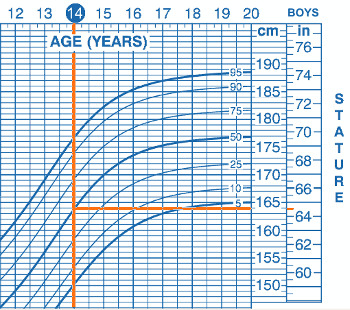 Height Per Age Chart