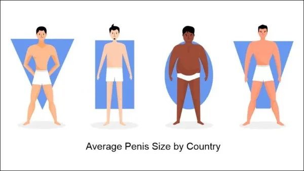 Average Penis Size By Country